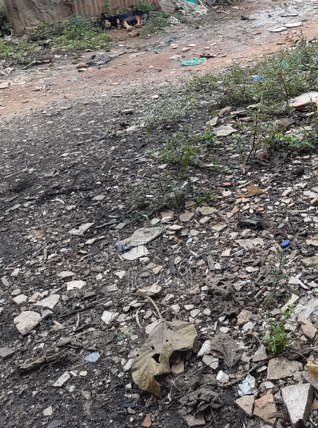 Plot on Main Road in Mpererwe