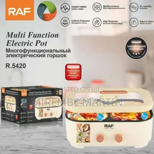 Raf Professional Electric Grill and Soup Pot Rice Cooker