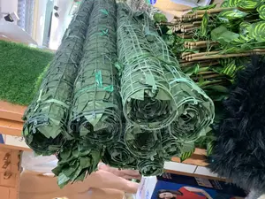 Wall to Wall Plants Piece