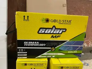 100ah Gold Star Maintenance Free Solar Batteries Attic