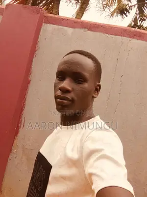 Photo - Accounting Finance CV