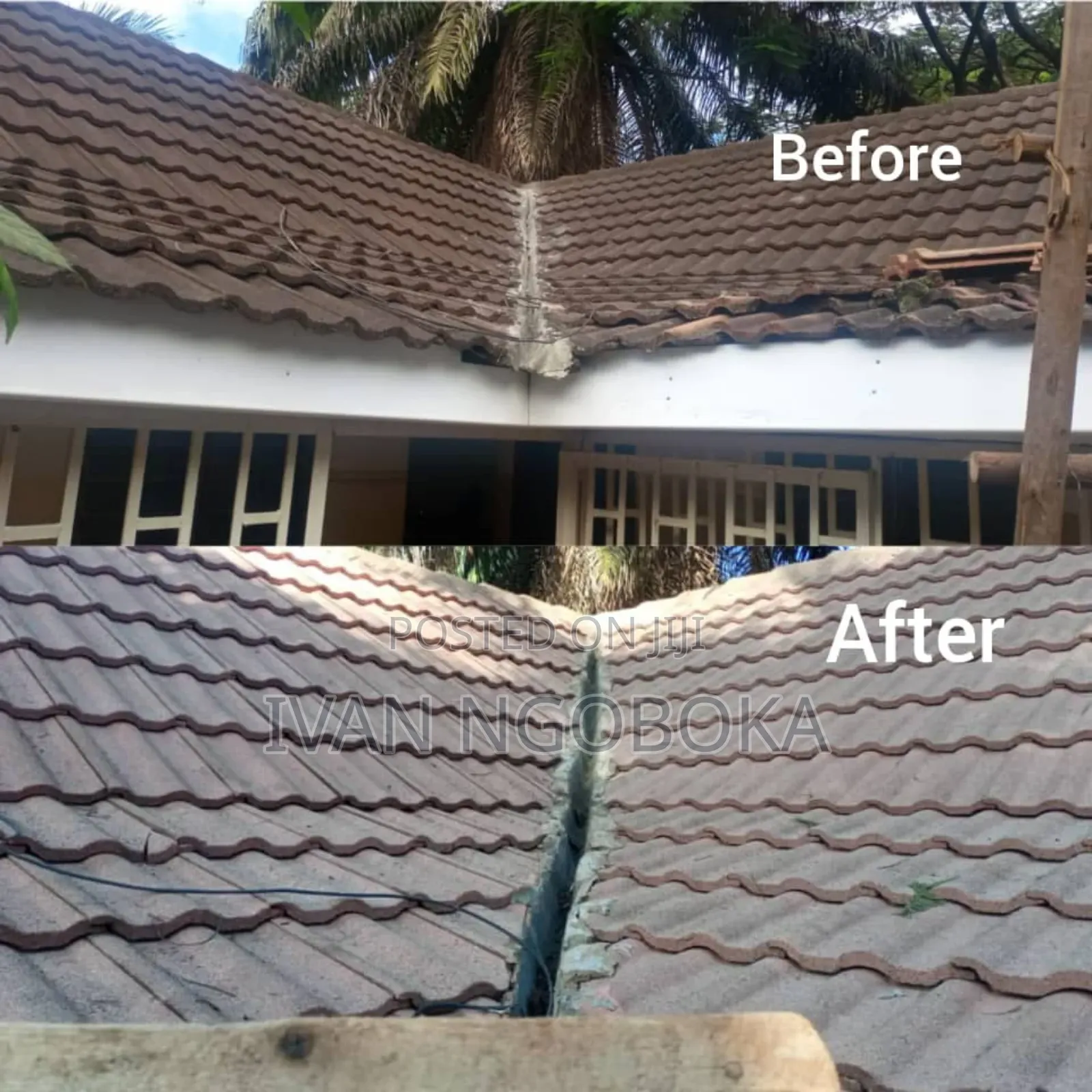 Roof Cleaning