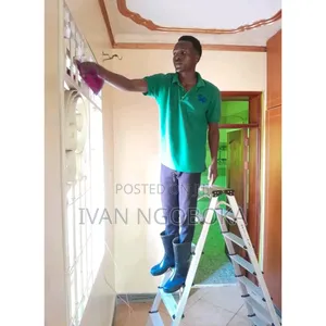 Roof Cleaning