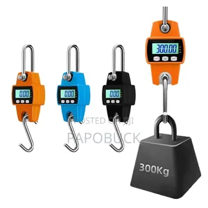 300kg Digital Crane Scale