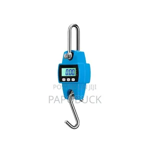 300kg Digital Crane Scale