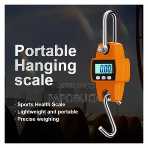300kg Digital Crane Scale