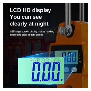 300kg Digital Crane Scale