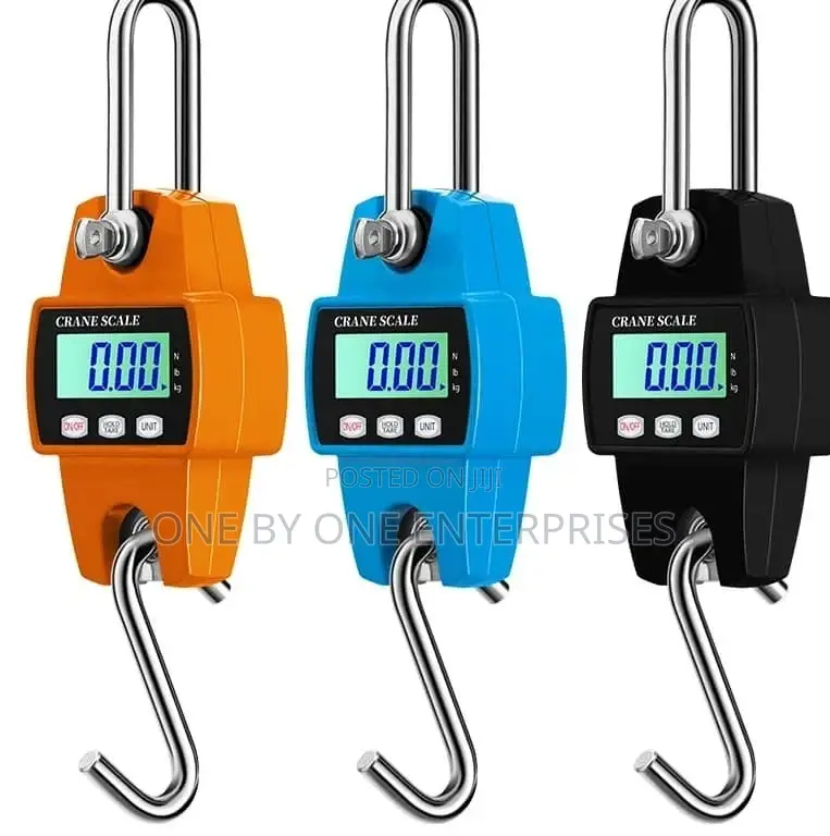 Suspension Crane Scale Sky Blue 300kg Industrial