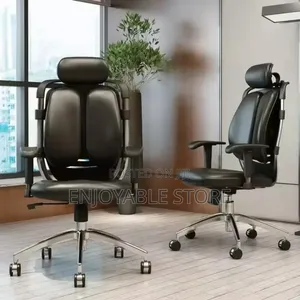 Ergonomic Office Chair for Lumbar Support