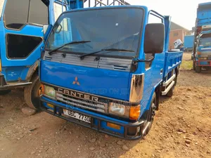 Photo - Canter Tipper Blue