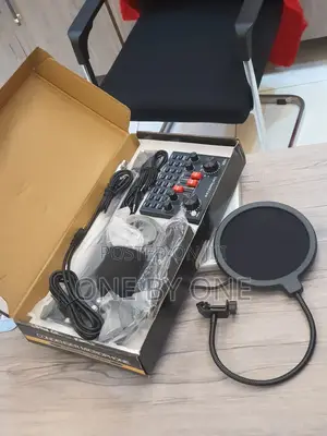 Professional Condenser Microphone Crystal-Clear Sound