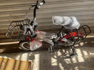 Children Bicycle With a Basket
