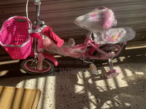 Bicycle With Supporting Types
