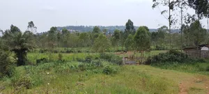 6 Acre Farmland at Buddo Kisozi 70m Per Acre