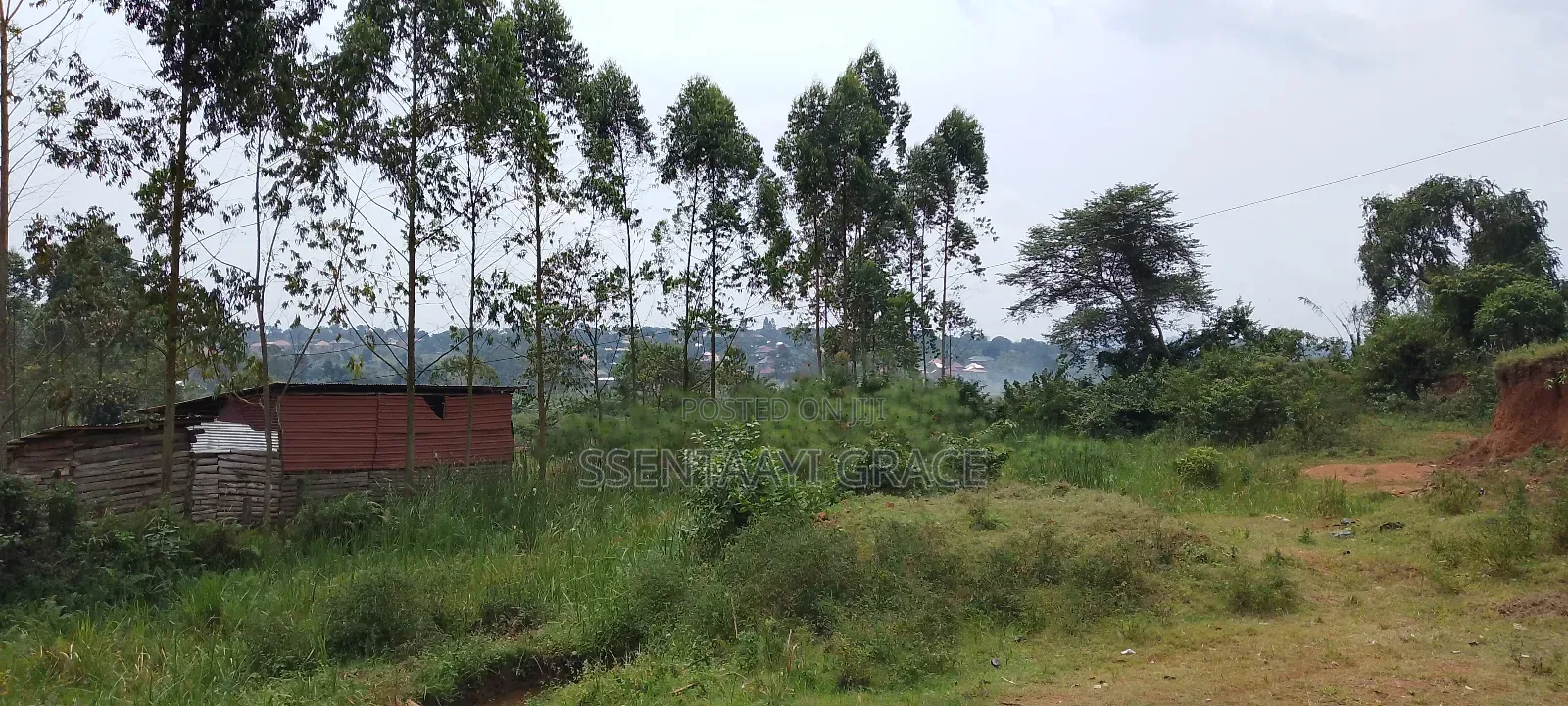 6 Acre Farmland at Buddo Kisozi 70m Per Acre