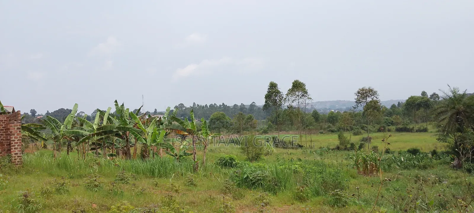 6 Acre Farmland at Buddo Kisozi 70m Per Acre