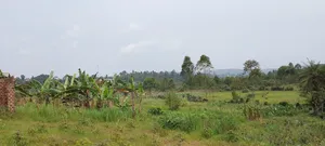 6 Acre Farmland at Buddo Kisozi 70m Per Acre