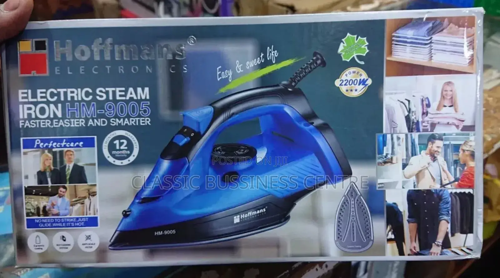 Electric Steam Iron