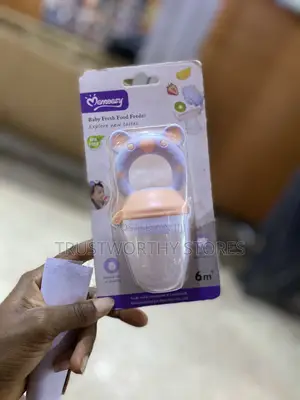 Baby Fresh Food Feeder - 6m+