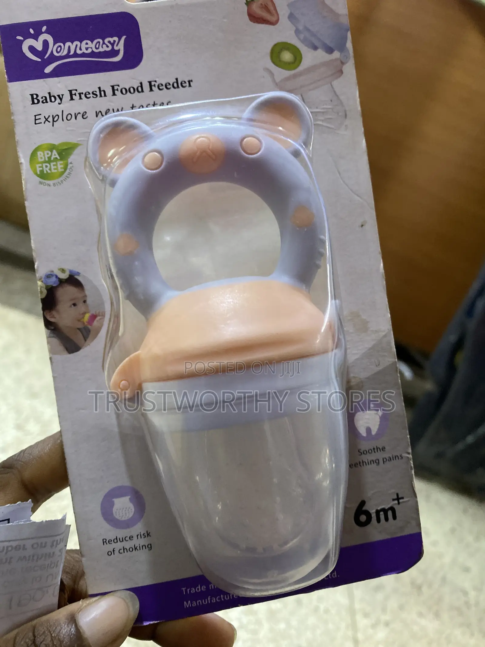 Baby Fresh Food Feeder - 6m+