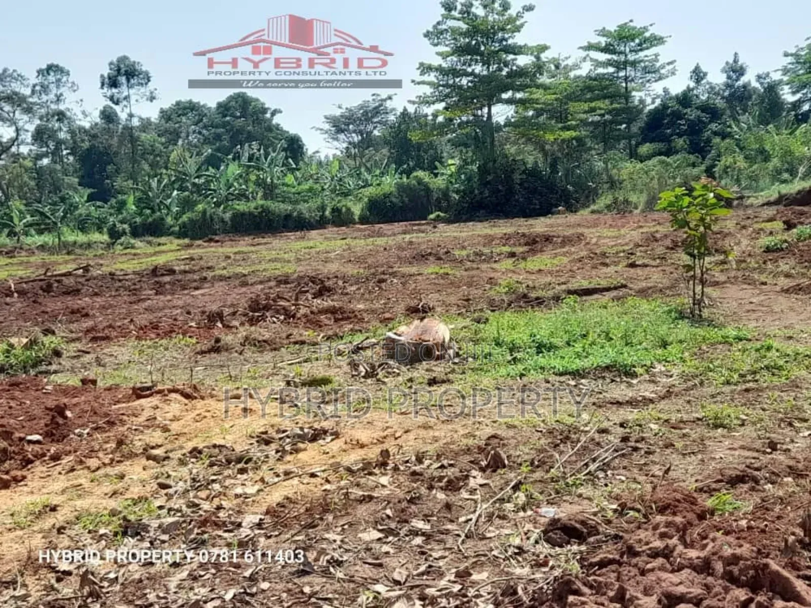 Prime Plots for Sale at Our Gobero~Muguluka Elite Estate II.