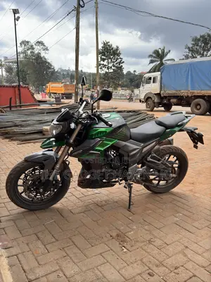 Senke SK300-2 2019 Green
