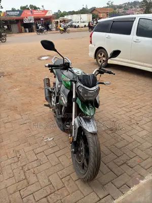 Senke SK300-2 2019 Green