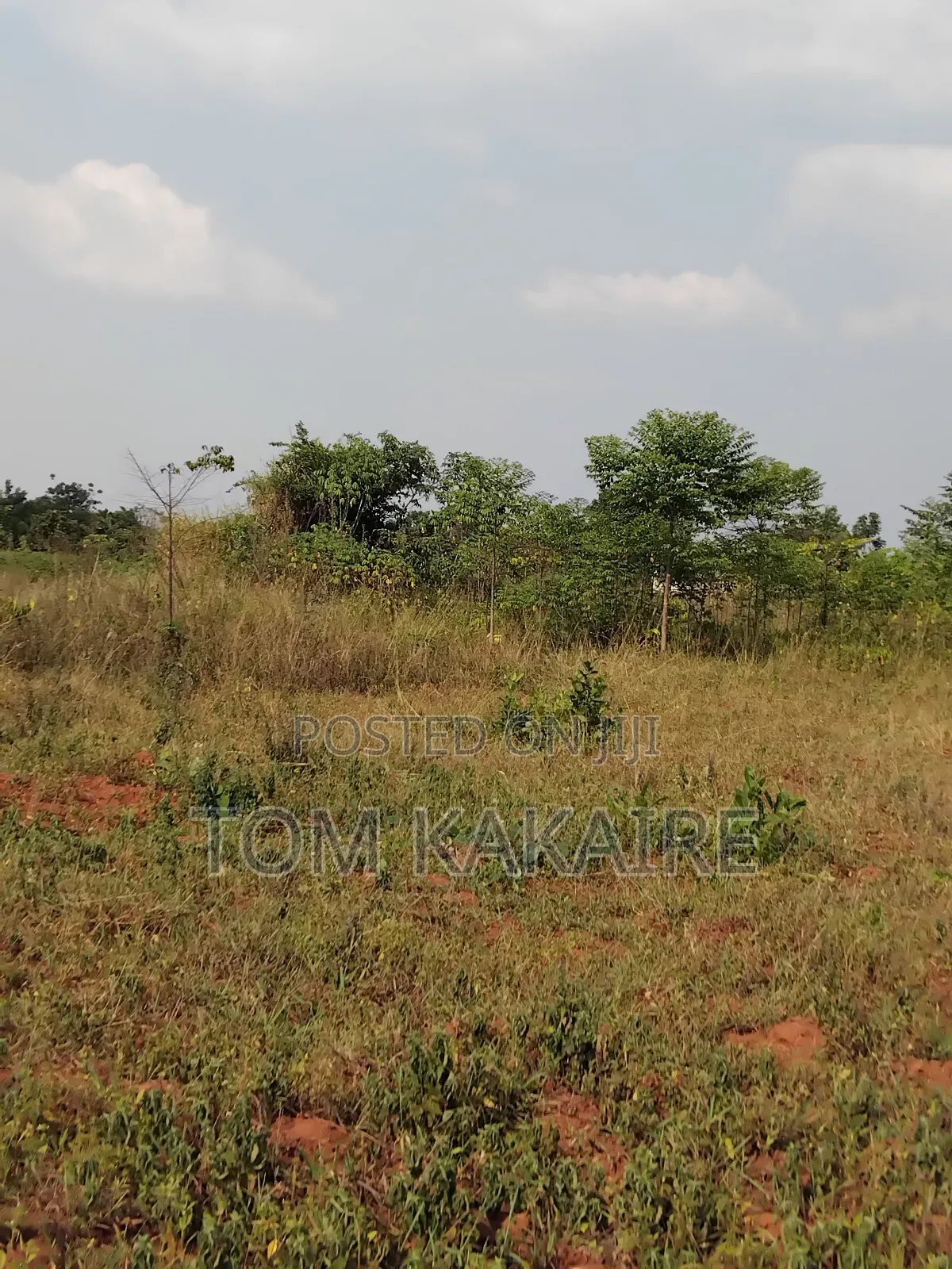Land for Renting