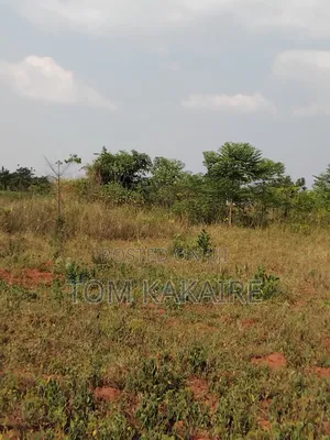 Photo - Land for Renting