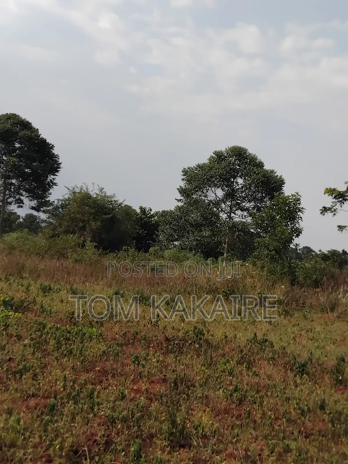 Land for Renting