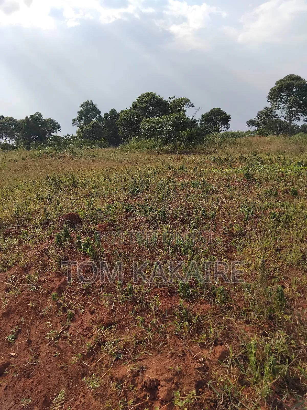 Land for Renting