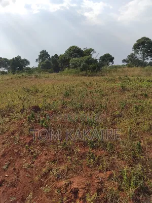 Land for Renting