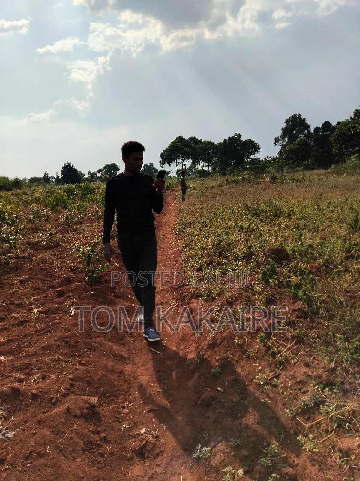 Land for Renting