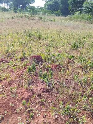 Land for Renting