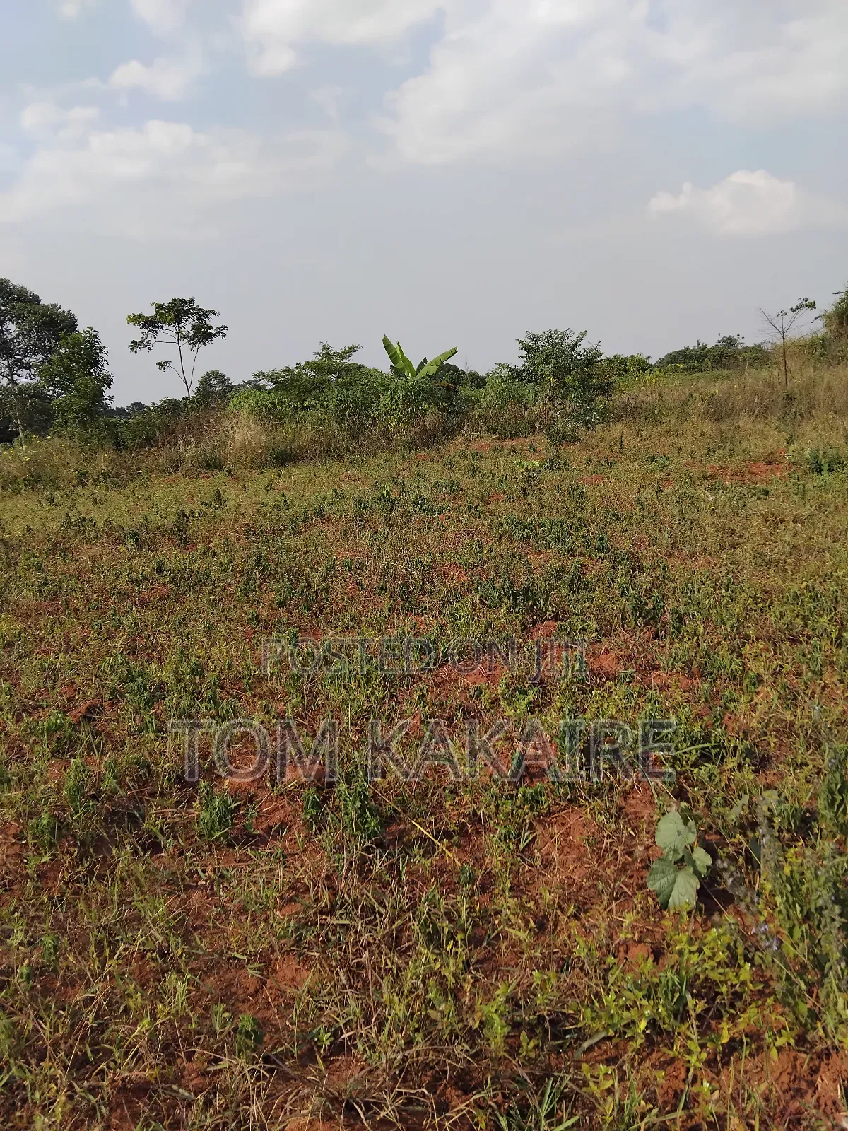 Land for Renting