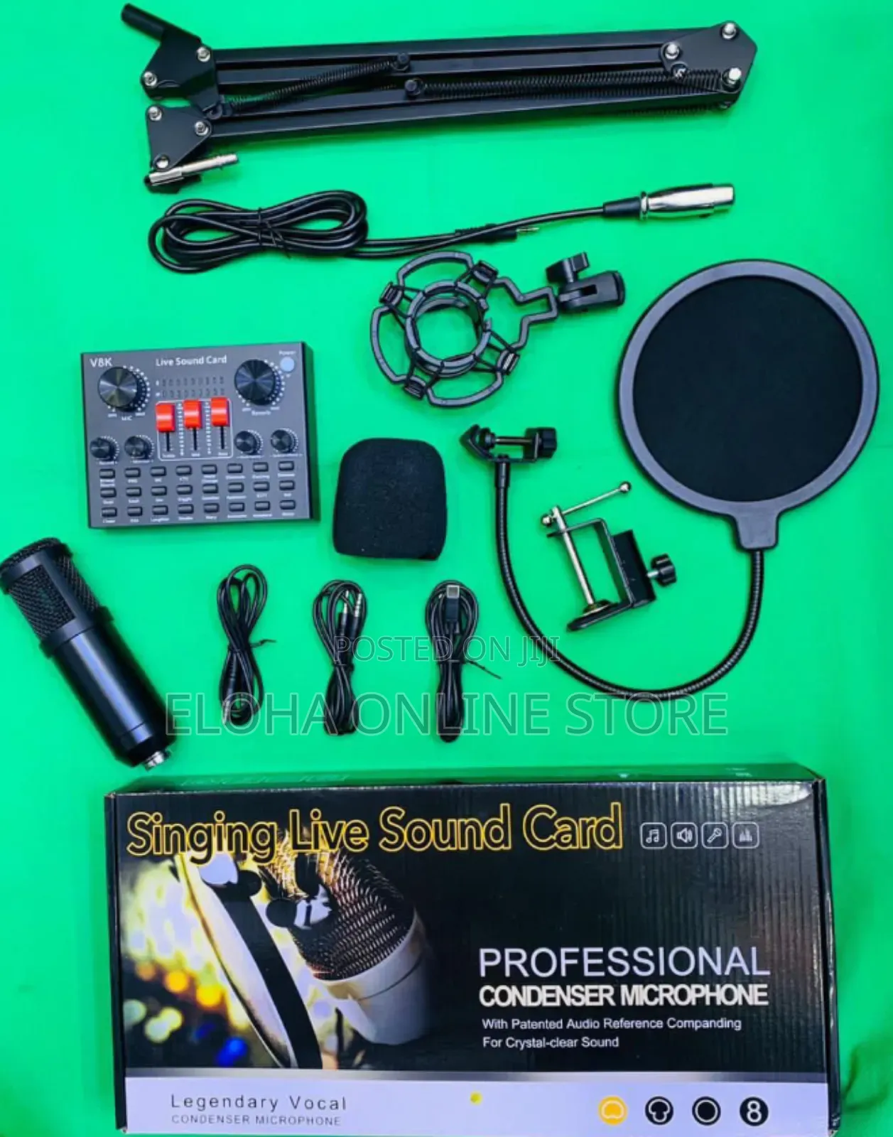 Condenser Microphone Kit With Audio