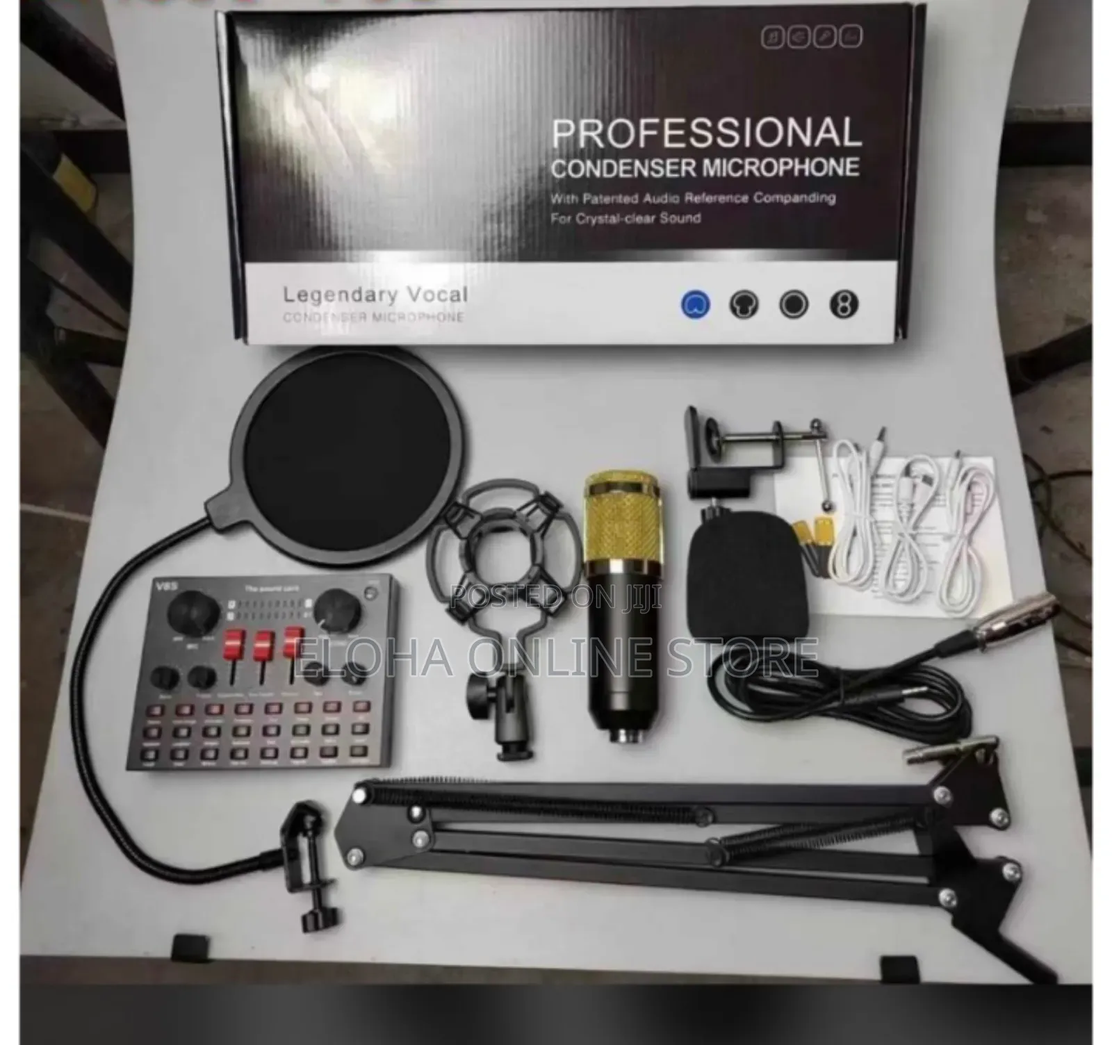 Condenser Microphone Kit With Audio