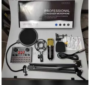 Condenser Microphone Kit With Audio