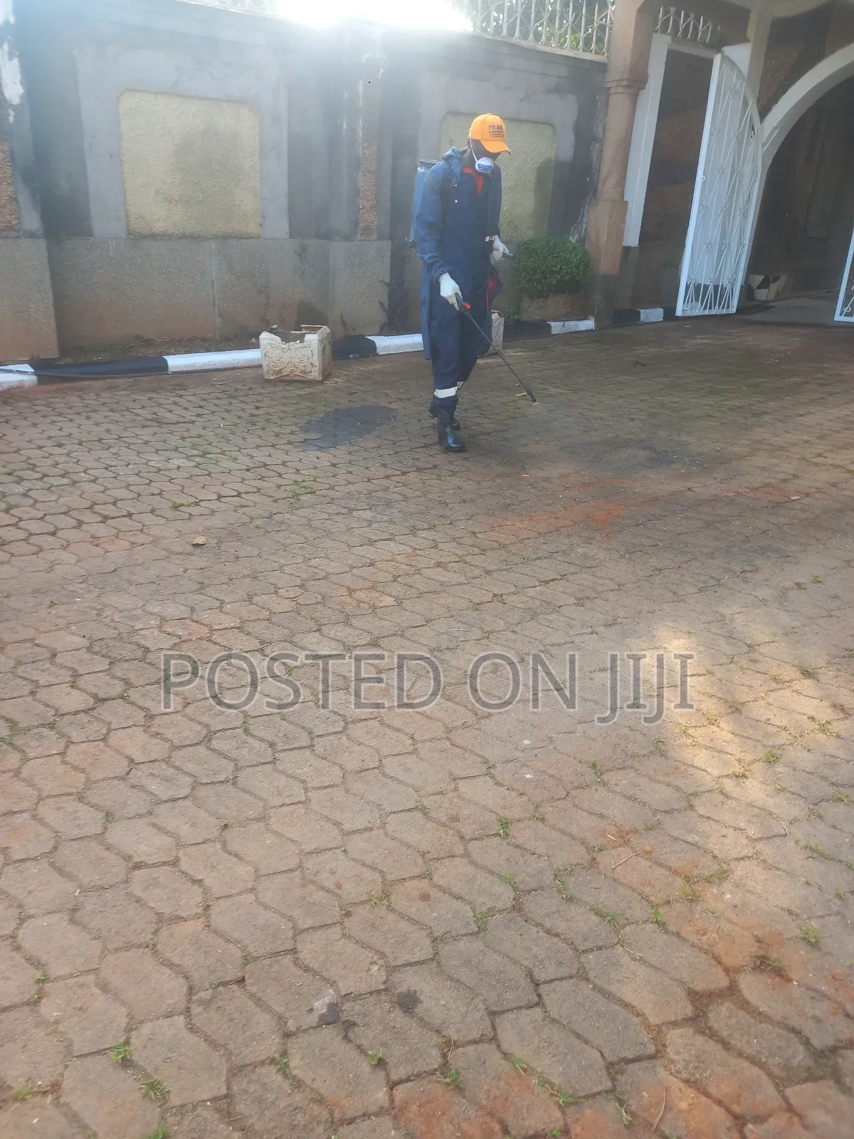 Fumigation Services