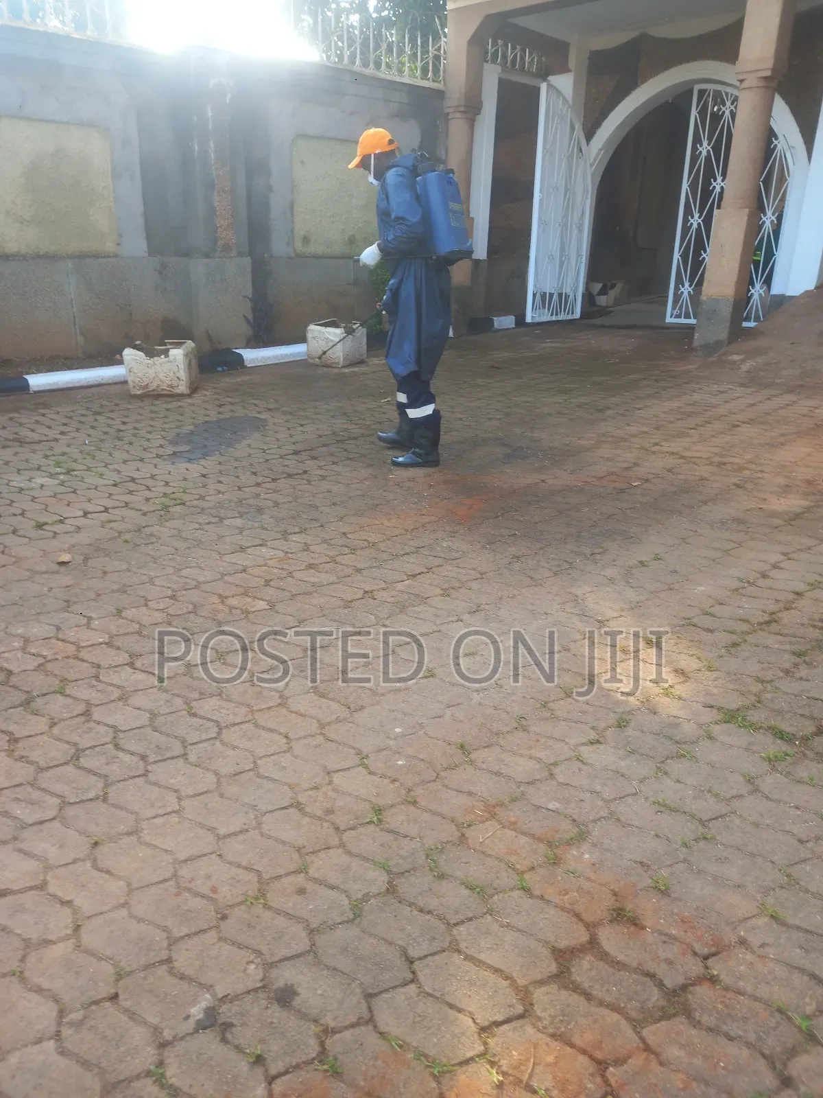 Fumigation Services