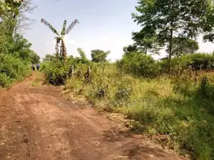 Luwero Five Acres for Sale