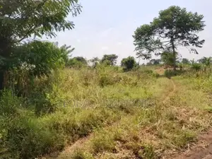 Luwero Five Acres for Sale
