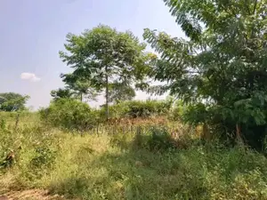 Luwero Five Acres for Sale