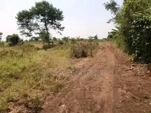 Luwero Five Acres for Sale