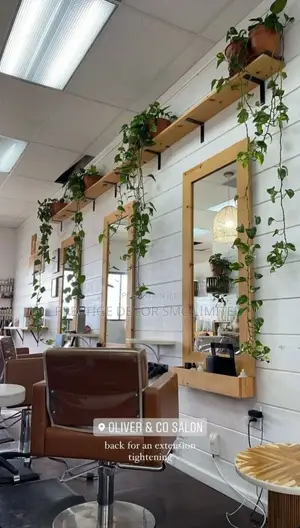 Saloon Mirrors