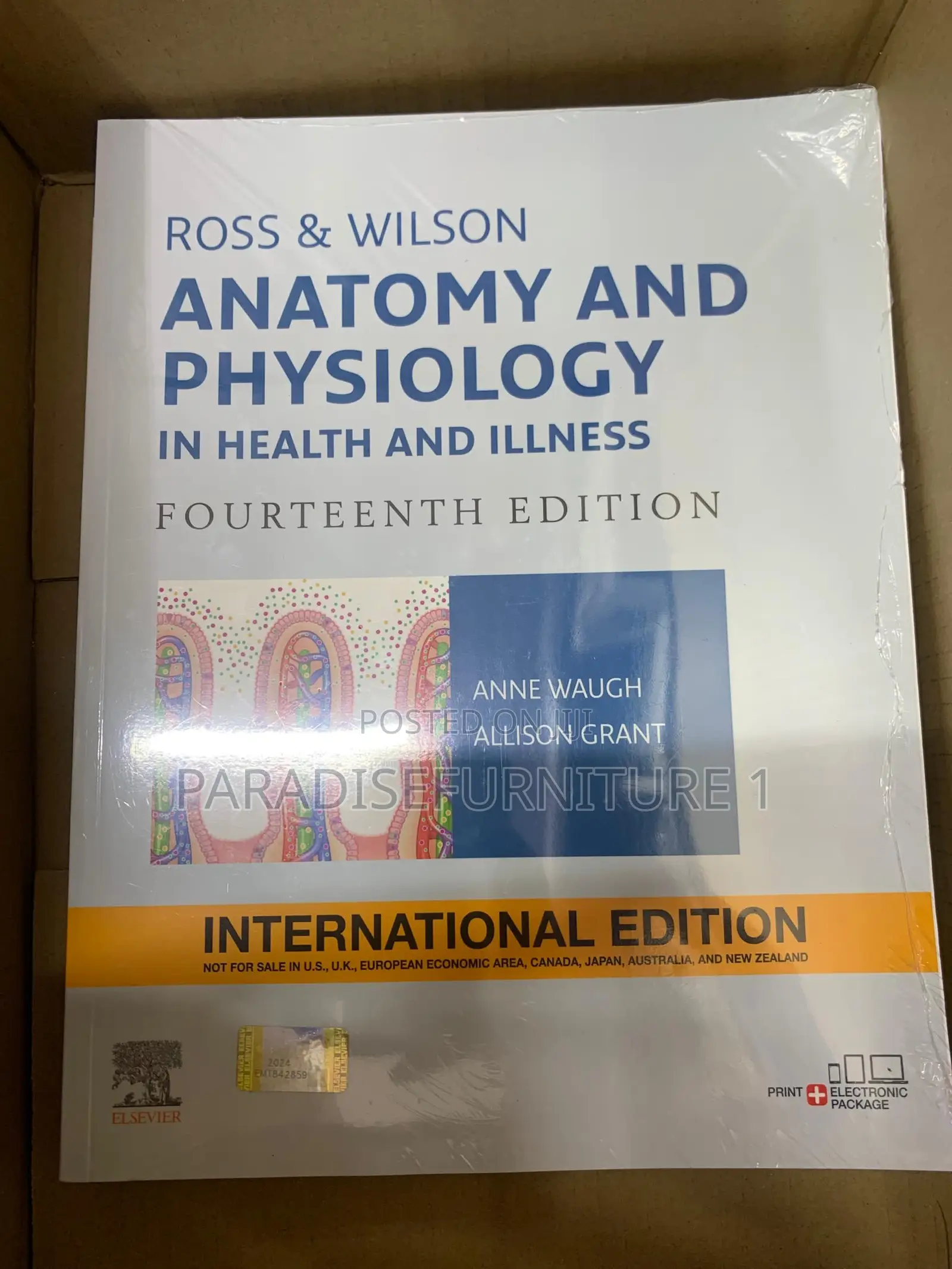Anatomy and Physiology