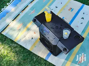 Sony Portable Wireless Indoor / Outdoor Bluetooth Speakers