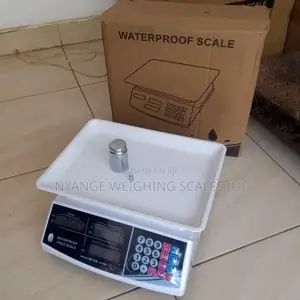 Acs 40kg/1g Weigh Tabletop Weighing Scale Waterproof Weighing Scale