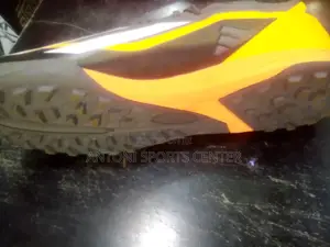 Fair Pray Shoe