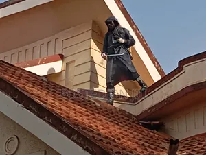 Roof Tile Cleaning Services